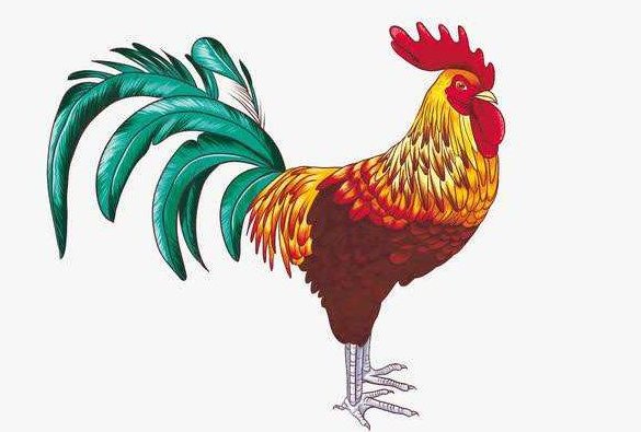 昂首挺胸的是什么生肖