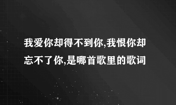 我爱你却得不到你,我恨你却忘不了你,是哪首歌里的歌词