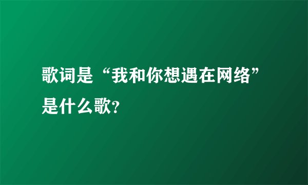 歌词是“我和你想遇在网络”是什么歌？