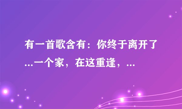 有一首歌含有：你终于离开了...一个家，在这重逢，在这无尽的繁华..具体也不知道，含有这些歌词的，DJ