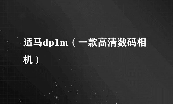 适马dp1m（一款高清数码相机）