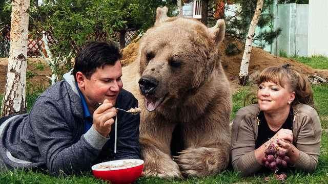 如何从蒙古国的“死亡土拨鼠刺身”看自然之母的残暴？