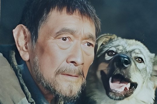 谢晋导演的作品有哪些