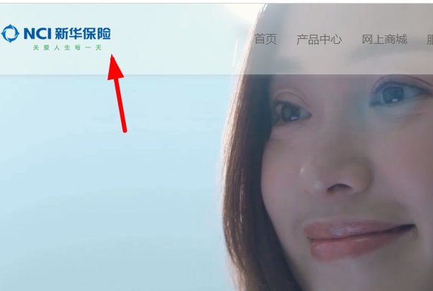 如何登陆新华保险公司官方网站