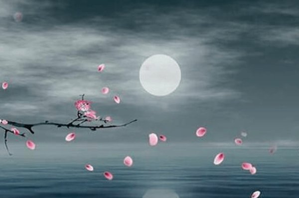 月裴回什么意思