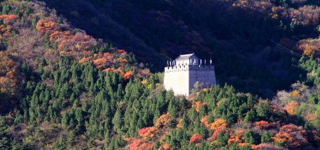 虎跃龙腾是什么意思