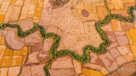 高考分数线2021一本,二本,专科