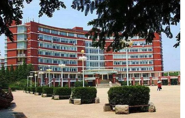 青岛职业技术学院2023年录取分数线多少