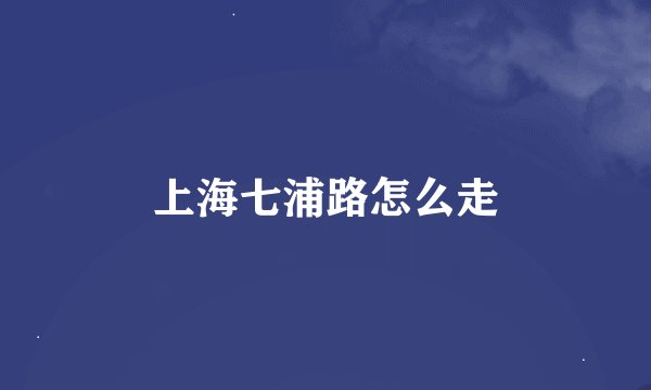 上海七浦路怎么走