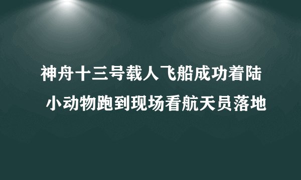 神舟十三号载人飞船成功着陆 小动物跑到现场看航天员落地