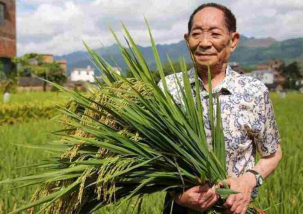 10个当代中国脊梁人物的事迹有哪些?