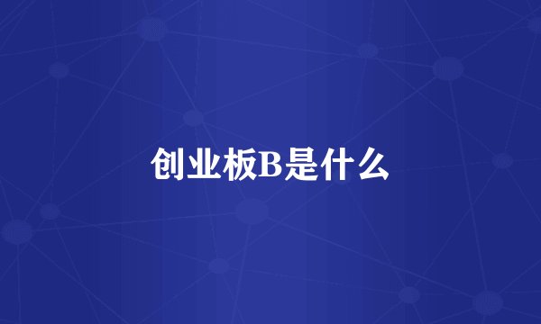 创业板B是什么