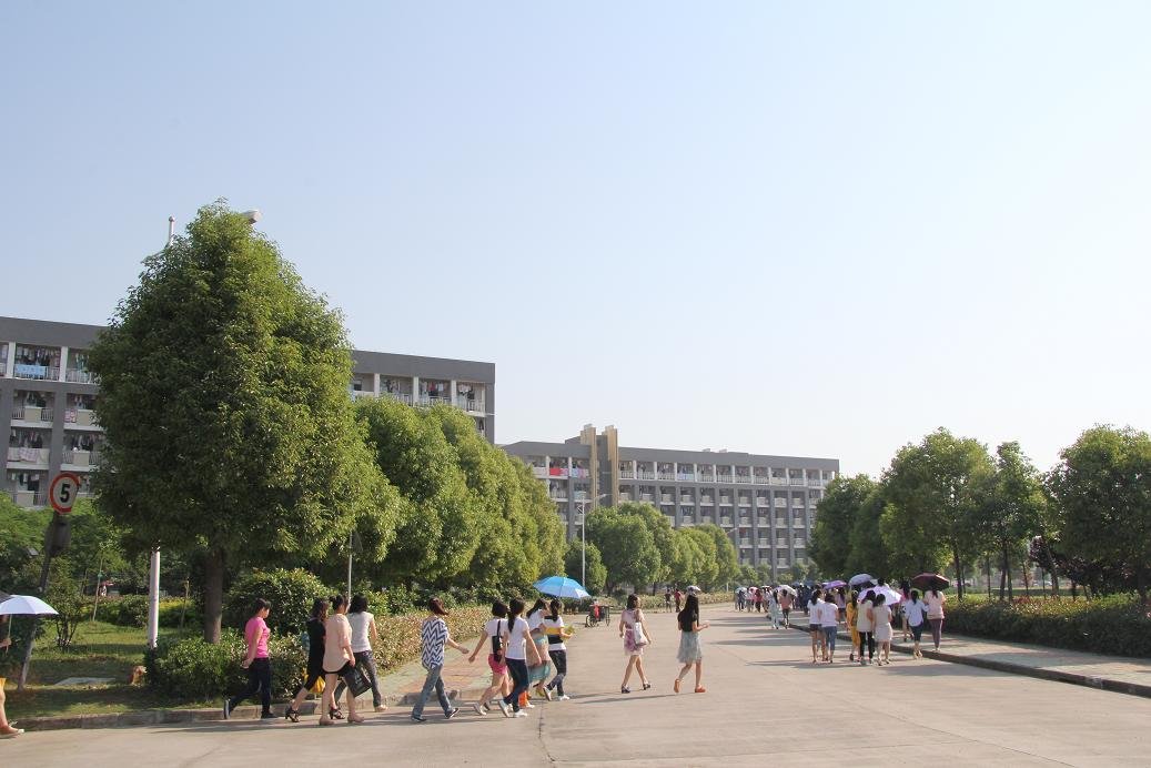 安徽大学职业技术学院是安徽大学的专科吗？和安徽大学国际商学院是同一座学校吗？