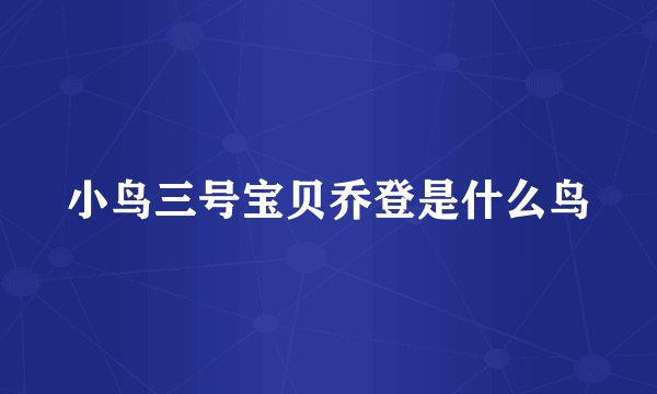 小鸟三号宝贝乔登是什么鸟