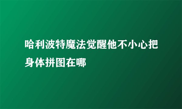 哈利波特魔法觉醒他不小心把身体拼图在哪