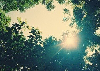 求高手给取个带‘月’或者‘墨’的昵称