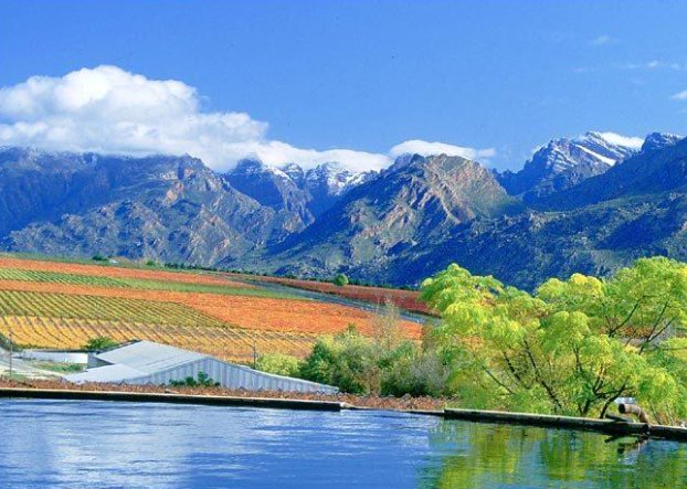 大勇是什么意思