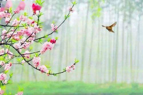 你在二月遇到过哪些温暖的瞬间？