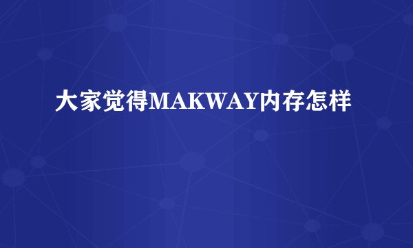 大家觉得MAKWAY内存怎样