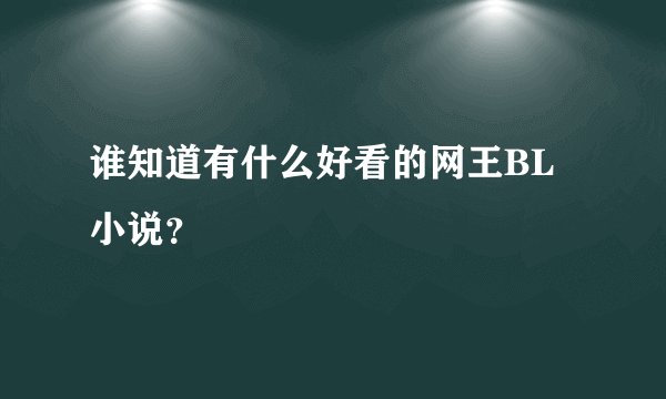 谁知道有什么好看的网王BL小说？