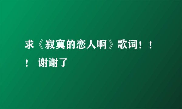 求《寂寞的恋人啊》歌词！！！ 谢谢了
