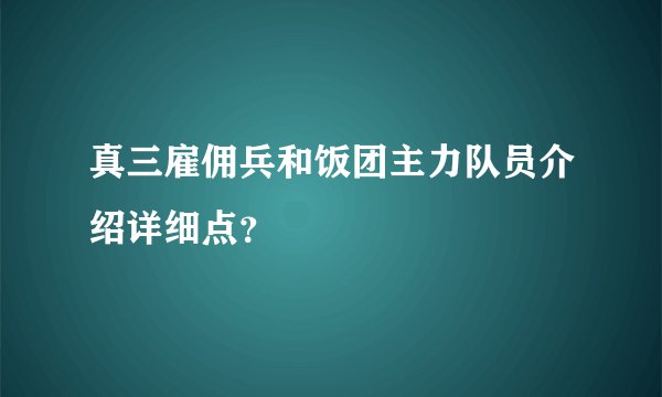真三雇佣兵和饭团主力队员介绍详细点？