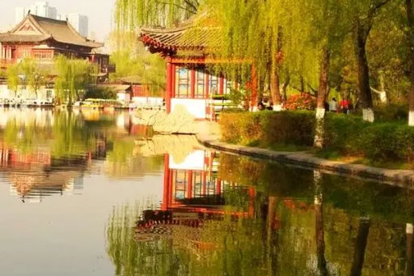 华阙阙作品有哪些？