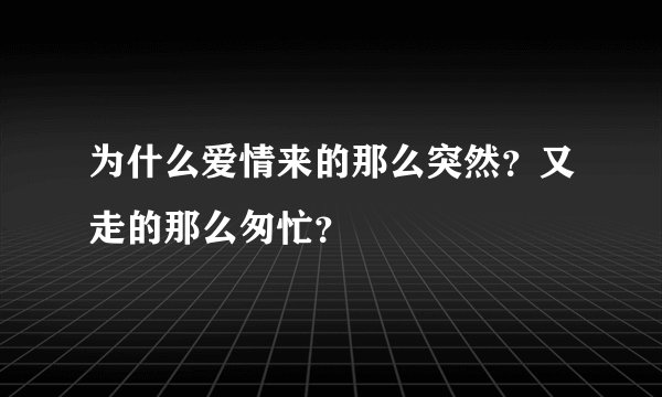 为什么爱情来的那么突然？又走的那么匆忙？