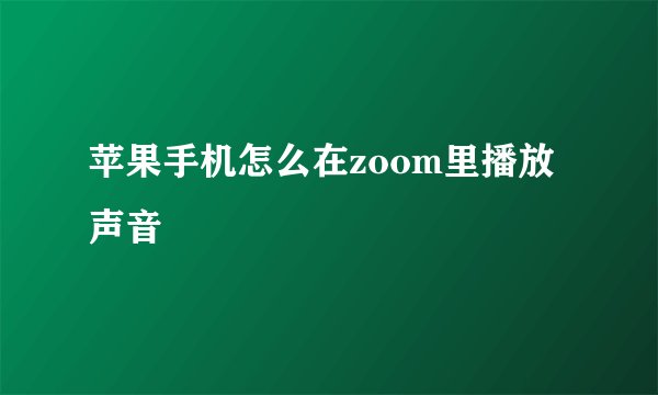 苹果手机怎么在zoom里播放声音