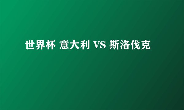世界杯 意大利 VS 斯洛伐克