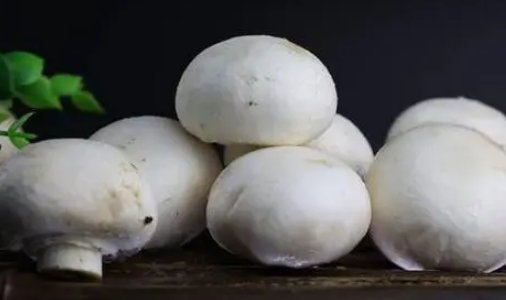 蚂蚁森林口蘑中的口字源于