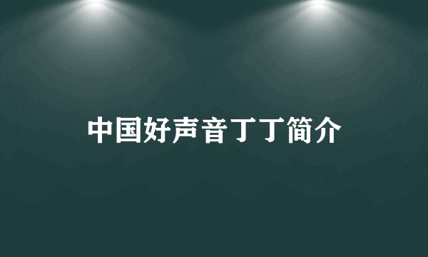 中国好声音丁丁简介
