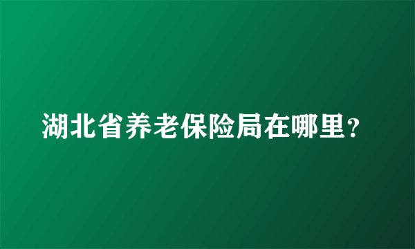 湖北省养老保险局在哪里？
