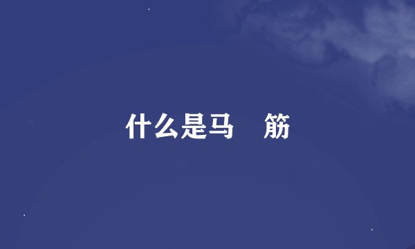什么是马櫈筋
