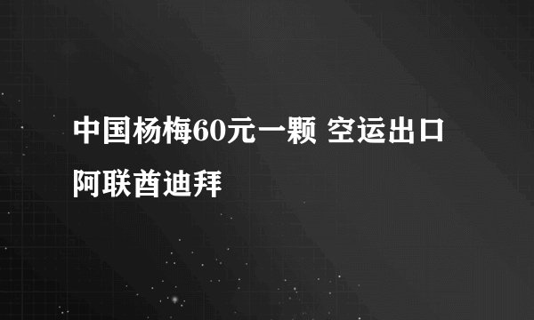 中国杨梅60元一颗 空运出口阿联酋迪拜