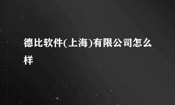 德比软件(上海)有限公司怎么样