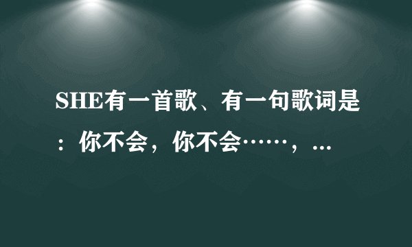 SHE有一首歌、有一句歌词是：你不会，你不会……，是什么歌