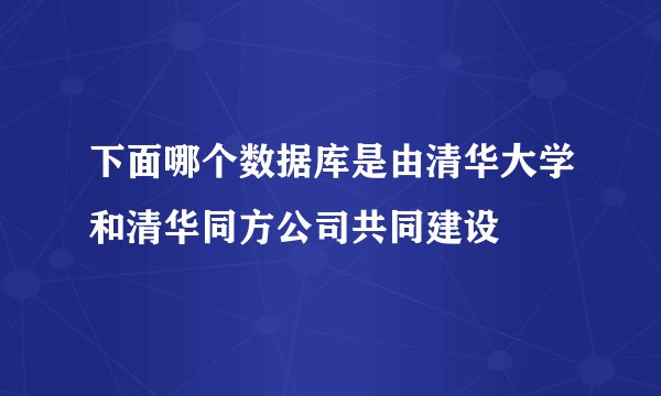 下面哪个数据库是由清华大学和清华同方公司共同建设