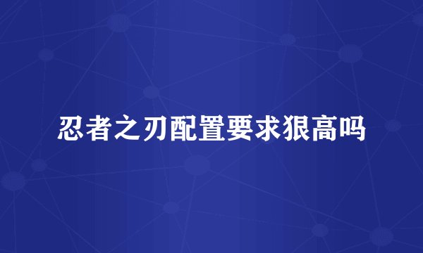 忍者之刃配置要求狠高吗