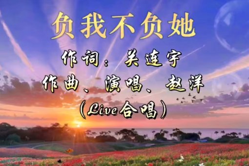 你负我不负她完整版原唱歌词