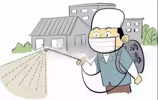 灭老鼠找哪家公司