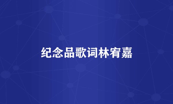 纪念品歌词林宥嘉