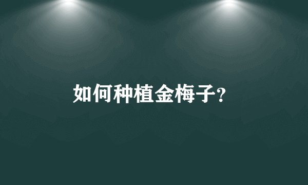 如何种植金梅子？