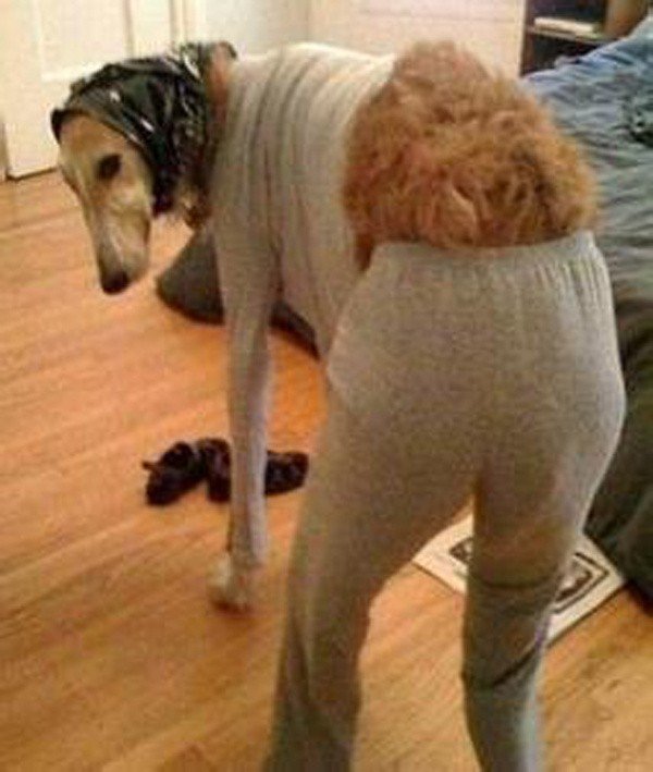 中国公民在外国打工，拖欠工资怎么办？