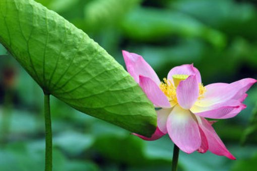 今年几点几分入伏？