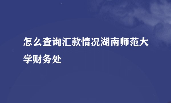 怎么查询汇款情况湖南师范大学财务处