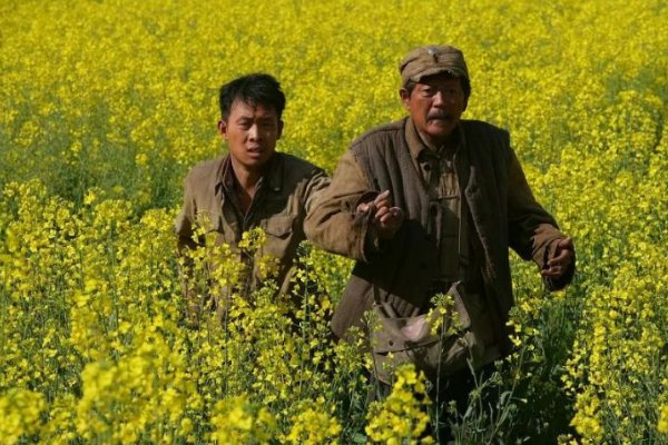 张译主演的电视剧全部