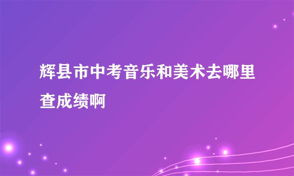 辉县市中考音乐和美术去哪里查成绩啊