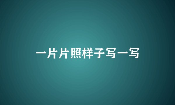 一片片照样子写一写