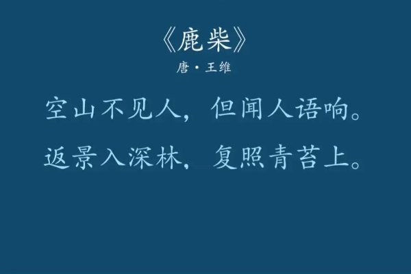 空山不见人,但闻人语声意思